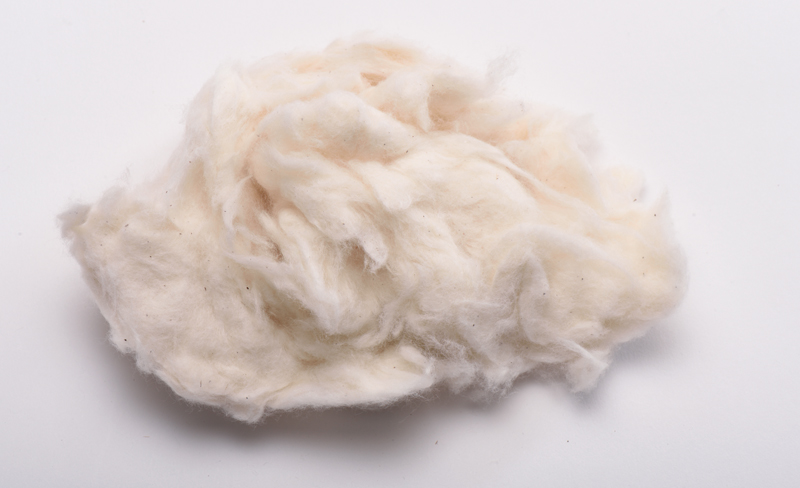 Bleached Cotton by Lavino Kapur