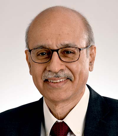 Vikram Kapur -Director at Lavino Kapur